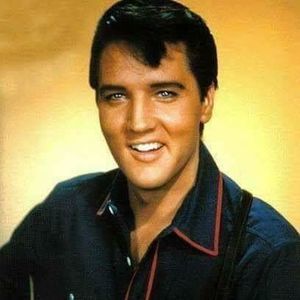 Meet your Posher, Mardi